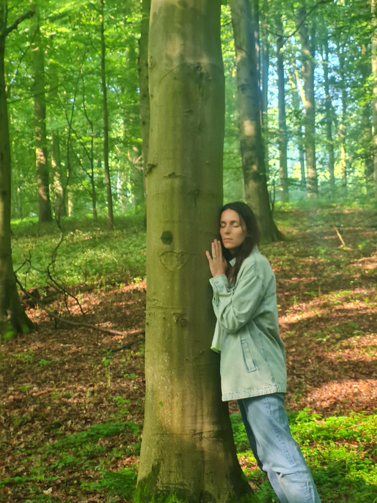 Moment de ressourcement en Forêt de Soignes