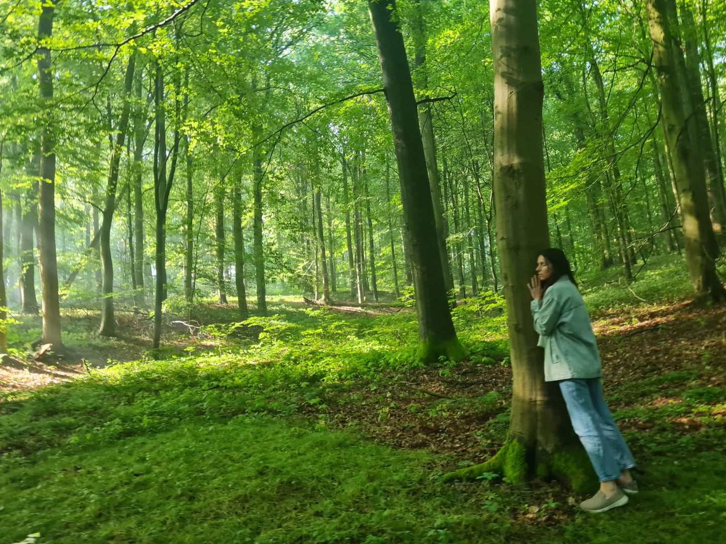 Moment de ressourcement en Forêt de Soignes